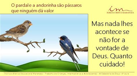 o pardal encontrou asas a andorinha o seu ninho letra|Um Dia Em Tua Casa .